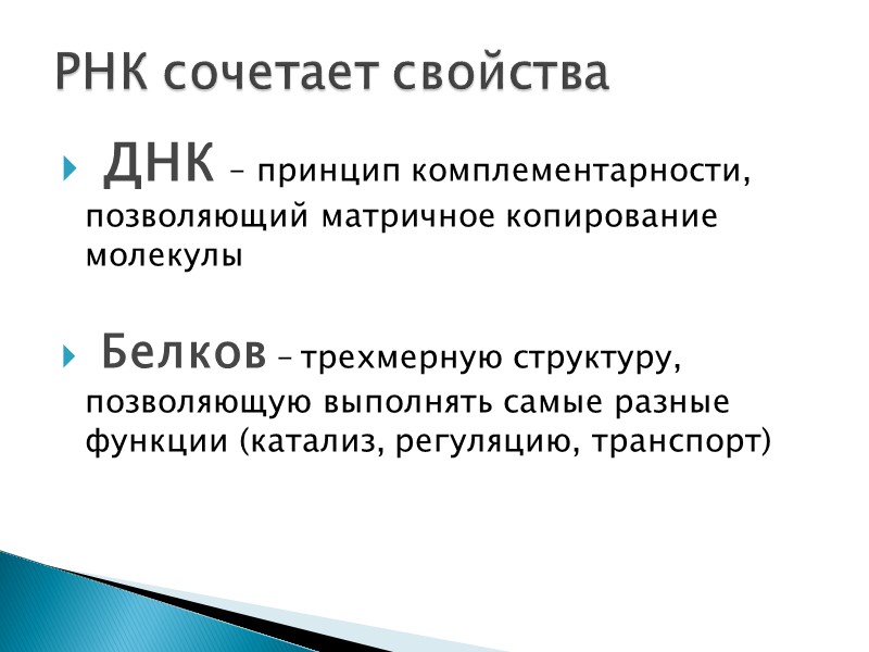 ДНК – принцип комплементарности, позволяющий матричное копирование молекулы   Белков – трехмерную структуру,